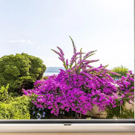 Rispoli By Napoliapartments Apartment Baia (Naples)